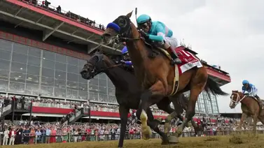 Esta será la próxima carrera de National Treasure Esta será la próxima carrera de National Treasure