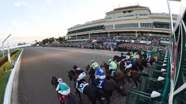 Trainer venezolano llega a esta cantidad de victorias y revienta la taquilla en Gulfstream Park