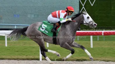 José Luis Ortiz llegó a esta sorprendente cantidad de triunfos en Estados Unidos (+video) José Luis Ortiz llegó a esta sorprendente cantidad de triunfos en Estados Unidos (+video)