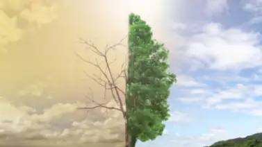 ¿Punto sin retorno? Esto dicen los expertos sobre el calentamiento global ¿Punto sin retorno? Esto dicen los expertos sobre el calentamiento global