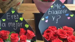 San Valentín: ¿Qué significa el número de rosas que te regalan?