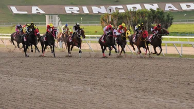 Datos de Ultima Hora para el Hipódromo La Rinconada 10-02-2024