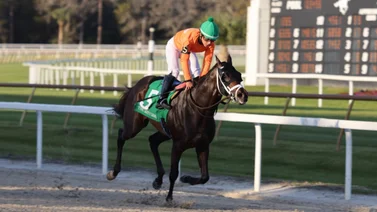 Caballo entrenado por este venezolano gana el Sam F. Davis Stakes (Gr. 3) y suma 20 puntos para el Kentucky Derby