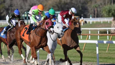 Junior Alvarado gana su primer Stakes del 2024 en Estados Unidos