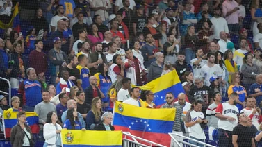 ¡Bochornoso! Sale a la luz video de pelea en las gradas en la final de la Serie del Caribe (+Video)