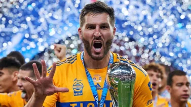 Una fanática casi hace que se mate André-Pierre Gignac de esta forma (+Video)