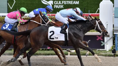 Mira la increíble carrera que ganó Emisael Jaramillo en Gulfstream Park