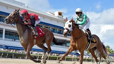 Jockeys Venezolanos los más destacados este domingo en Gulfstream Park