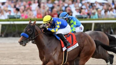 Conoce al jockey que supera a Irad Ortiz Jr. en varias estadísticas en este 2024