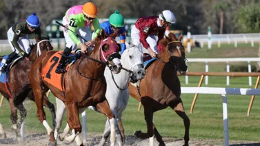Cinco jockeys venezolanos entre los diez mejores de este meeting de Estados Unidos