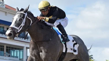 Conoce quien fue el jinete más destacado del fin de semana en el Championship Meet