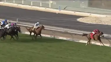 Entrenador es suspendido y multado en Estados Unidos por esta razón Entrenador es suspendido y multado en Estados Unidos por esta razón