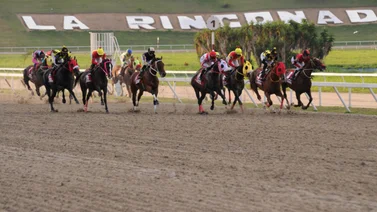 Conoce los jinetes más ganadores del 2024 en la Rinconada luego de cinco reuniones