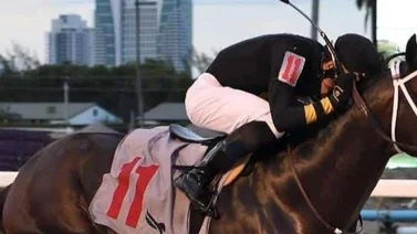 ¡Tremendos Golpes! Jockeys venezolanos revientan la taquilla el lunes en este hipódromo de Estados Unidos