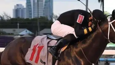 ¡Tremendos Golpes! Jockeys venezolanos revientan la taquilla el lunes en este hipódromo de Estados Unidos ¡Tremendos Golpes! Jockeys venezolanos revientan la taquilla el lunes en este hipódromo de Estados Unidos