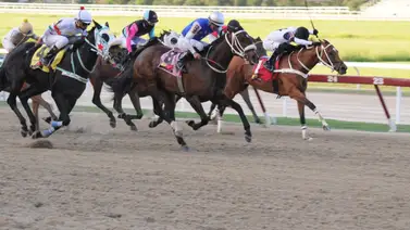 Dos clásicos forman parte de la sexta reunión de carreras en La Rinconada Dos clásicos forman parte de la sexta reunión de carreras en La Rinconada