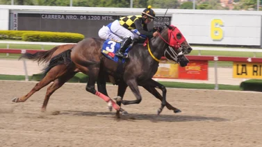 Ganadora clásica caribeña engalana el Clásico Segula C el domingo en La Rinconada