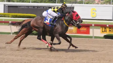 Ganadora clásica caribeña engalana el Clásico Segula C el domingo en La Rinconada Ganadora clásica caribeña engalana el Clásico Segula C el domingo en La Rinconada