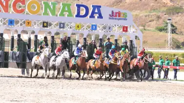 Templario reaparece para ir por el doblete en el Clásico Hylander el domingo en La Rinconada Templario reaparece para ir por el doblete en el Clásico Hylander el domingo en La Rinconada