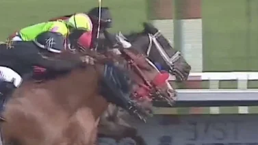 ¡Increíble! Final de foto entre 5 caballos en este hipódromo de Estados Unidos (+video)