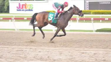 Germán Rojas y José Gilberto Hernández se unen para reaparecer a yegua que tiene 357 días sin correr en La Rinconada Germán Rojas y José Gilberto Hernández se unen para reaparecer a yegua que tiene 357 días sin correr en La Rinconada