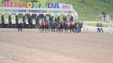 Estas son las yuntas más ganadoras del 2024 en La Rinconada Estas son las yuntas más ganadoras del 2024 en La Rinconada