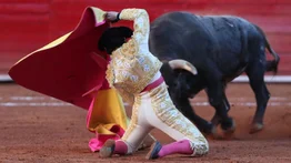 Así está el torero mexicano José Alberto Ortega tras recibir una cornada