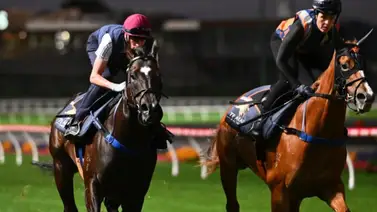 Yoqueta aprendiz en estado crítico por rodada este martes Yoqueta aprendiz en estado crítico por rodada este martes