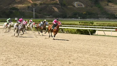 Rubén Lanz hace debutar en La Rinconada hijo de ganadora clásica del Caribe