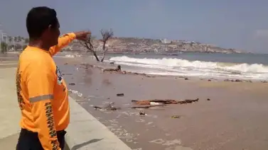 ¡Pa’ fuera todo el mundo! Evacuaron a los turistas en Catia La Mar por esta razón ¡Pa’ fuera todo el mundo! Evacuaron a los turistas en Catia La Mar por esta razón