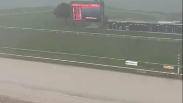 Suspendidas carreras del martes en este hipódromo de Estados Unidos