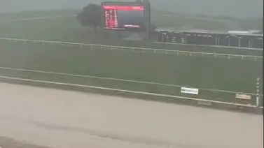 Suspendidas carreras del martes en este hipódromo de Estados Unidos Suspendidas carreras del martes en este hipódromo de Estados Unidos