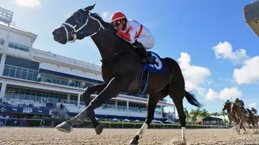 Bentornato va rumbo a su primera carrera como tresañero en este país Bentornato va rumbo a su primera carrera como tresañero en este país