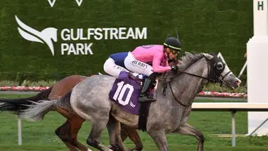 Conoce las montas de Irad Ortiz Jr. de este miércoles en Gulfstream Park Conoce las montas de Irad Ortiz Jr. de este miércoles en Gulfstream Park