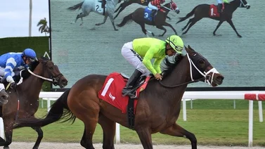 Con estas montas Paco López espera ganar este miércoles en Gulfstream Park