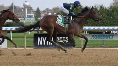 Conoce el exorbitante precio de este potro que corre el sábado en Estados Unidos Conoce el exorbitante precio de este potro que corre el sábado en Estados Unidos