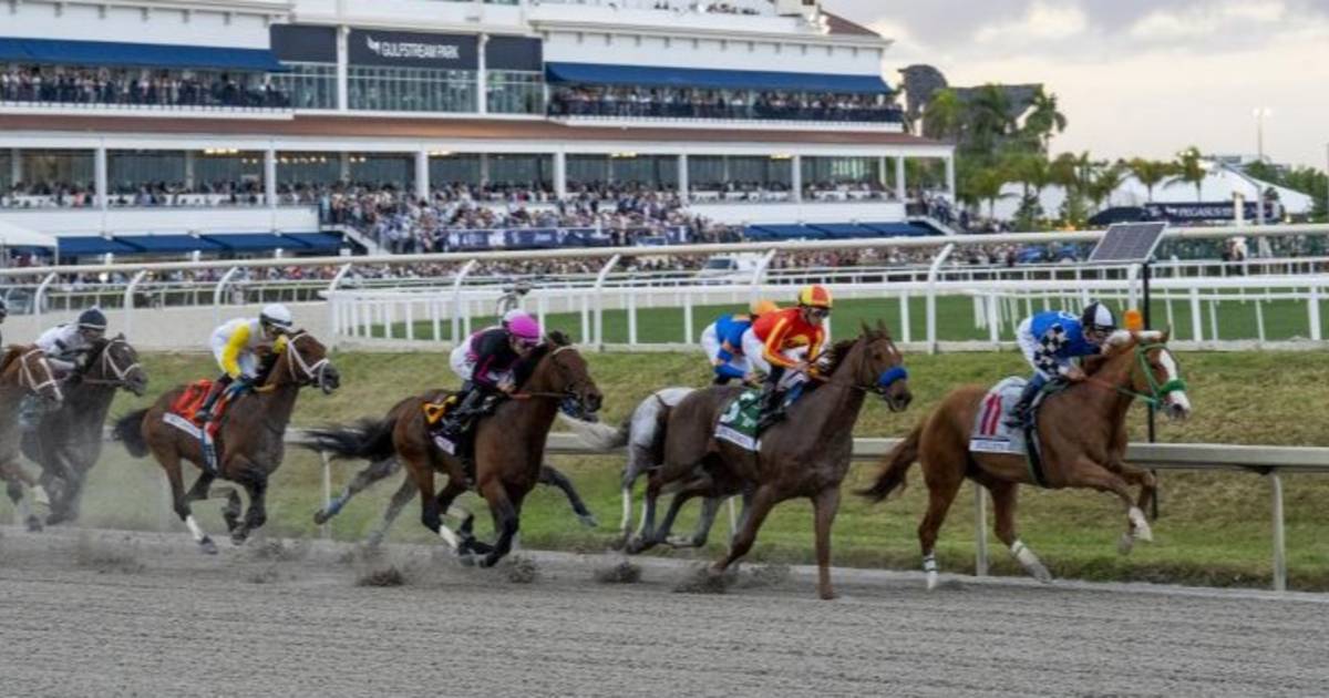 Aquí el Best Bet y los Tips para el Pick Six Gulfstream Park 14022024