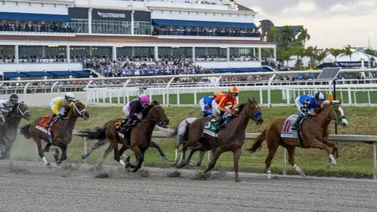 Aquí el Best Bet y los Tips para el Pick Six Gulfstream Park 14-02-2024