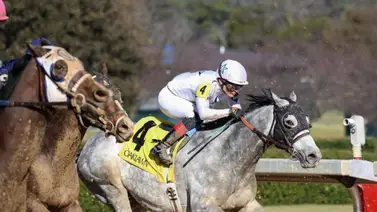 Jockey puertorriqueño domina esta importante estadística este año en Estados Unidos Jockey puertorriqueño domina esta importante estadística este año en Estados Unidos