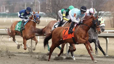 Jockey venezolano consigue su primer triunfo de 2024 en Estados Unidos con tremendo batacazo