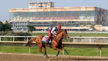 Mychel Sánchez consigue este premio en un hipódromo de Estados Unidos