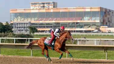 Mychel Sánchez consigue este premio en un hipódromo de Estados Unidos Mychel Sánchez consigue este premio en un hipódromo de Estados Unidos