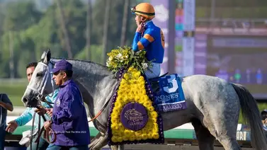 La carrera más millonaria del mundo tiene como favorito al ejemplar que costó menos La carrera más millonaria del mundo tiene como favorito al ejemplar que costó menos