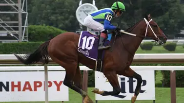 Potranca hija de dos campeones nace el día del cumpleaños de su padre Potranca hija de dos campeones nace el día del cumpleaños de su padre