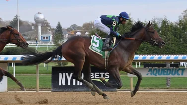 Mira lo que dijo Chad Brown sobre el potro que costó más de 2 millones de dólares y correrá una clasificatoria al Kentucky Derby este fin de semana