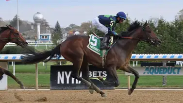Mira lo que dijo Chad Brown sobre el potro que costó más de 2 millones de dólares y correrá una clasificatoria al Kentucky Derby este fin de semana Mira lo que dijo Chad Brown sobre el potro que costó más de 2 millones de dólares y correrá una clasificatoria al Kentucky Derby este fin de semana