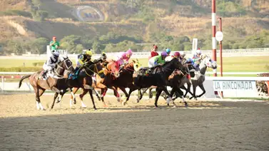Riccardo D’Angelo inscribe a ejemplar que tiene 322 días sin correr en La Rinconada Riccardo D’Angelo inscribe a ejemplar que tiene 322 días sin correr en La Rinconada