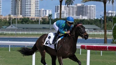 Edgar Pérez inicia con el pie derecho la semana en Gulfstream Park