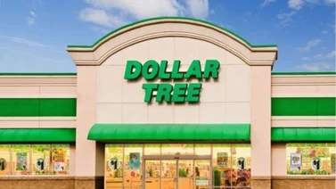 11 productos estrella en Dollar Tree: accesibles y de excelente calidad (+Video)