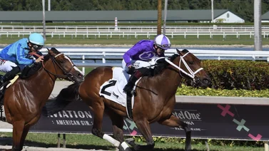 Entrenador venezolano llega a esta cantidad de victorias en Gulfstream Park